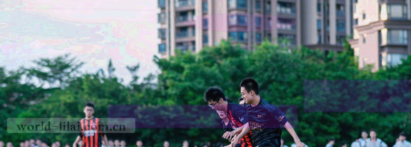 沙纹与网格线叠加的浅色纹理，低对比不干扰数字